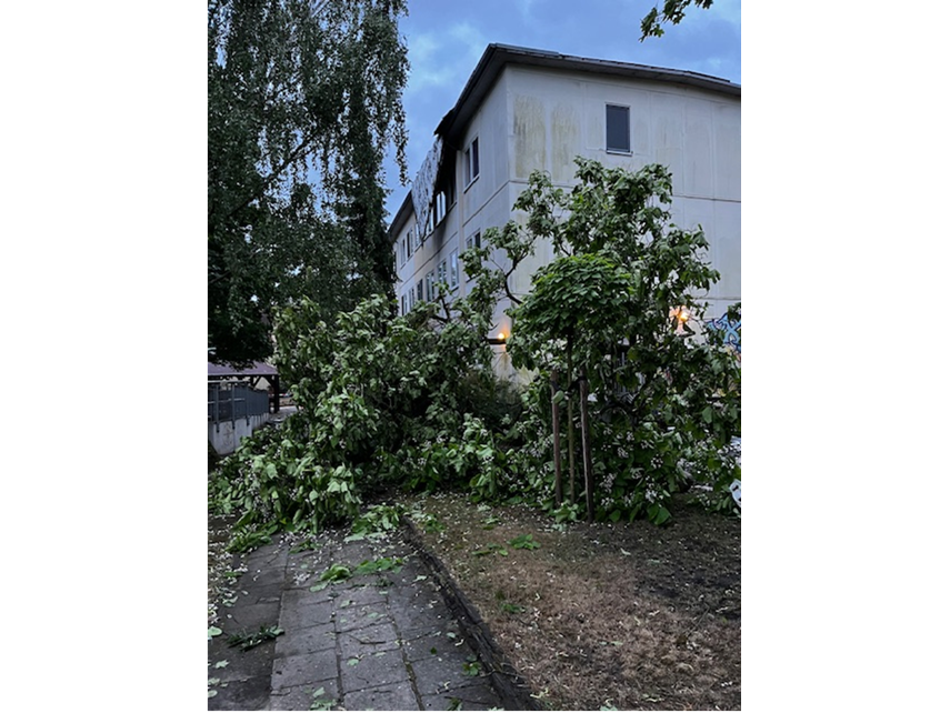 ASB Sturmschäden am Haus der ASB Wohngruppen quer.png