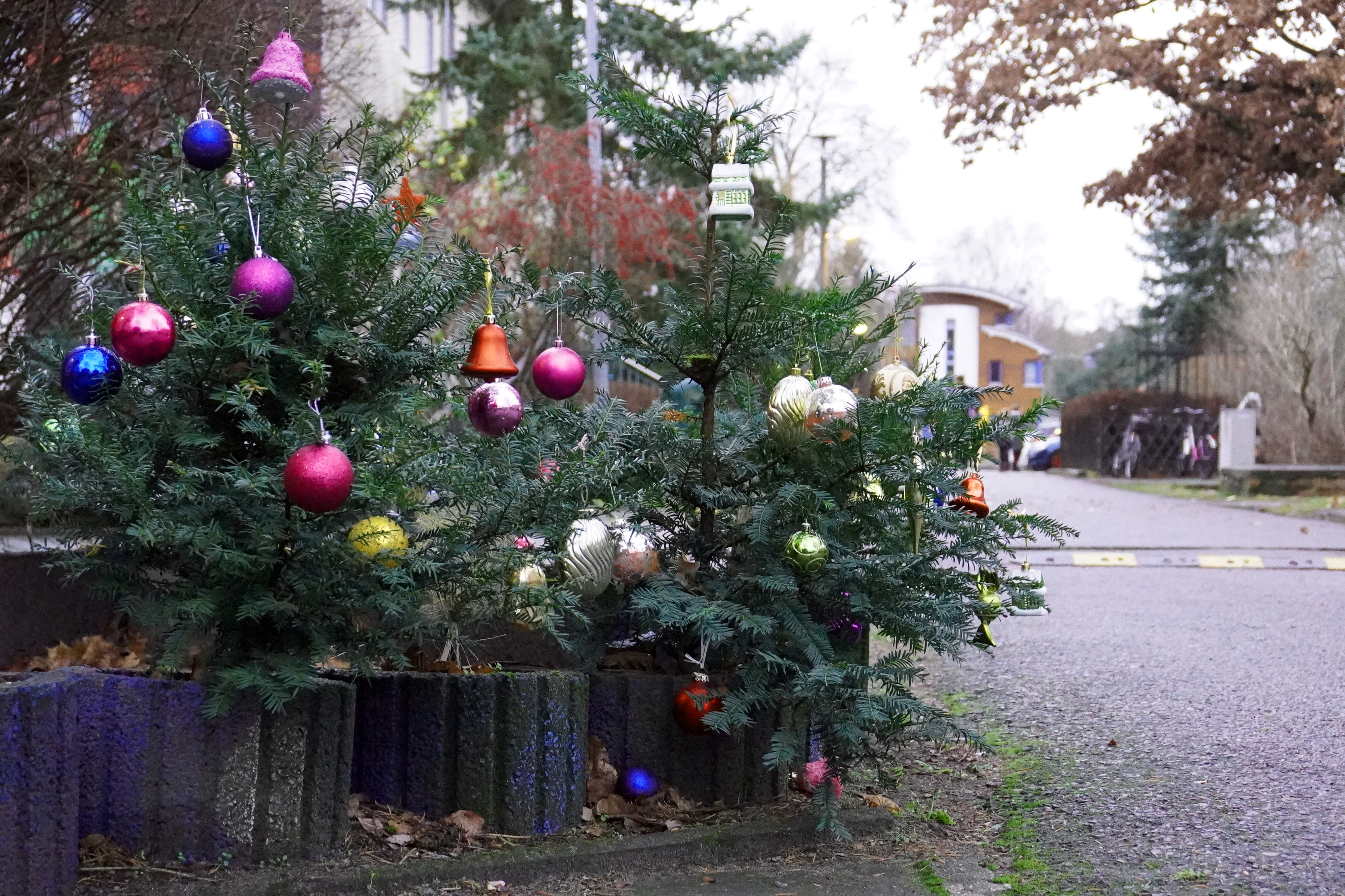 Weihnachtsglanz