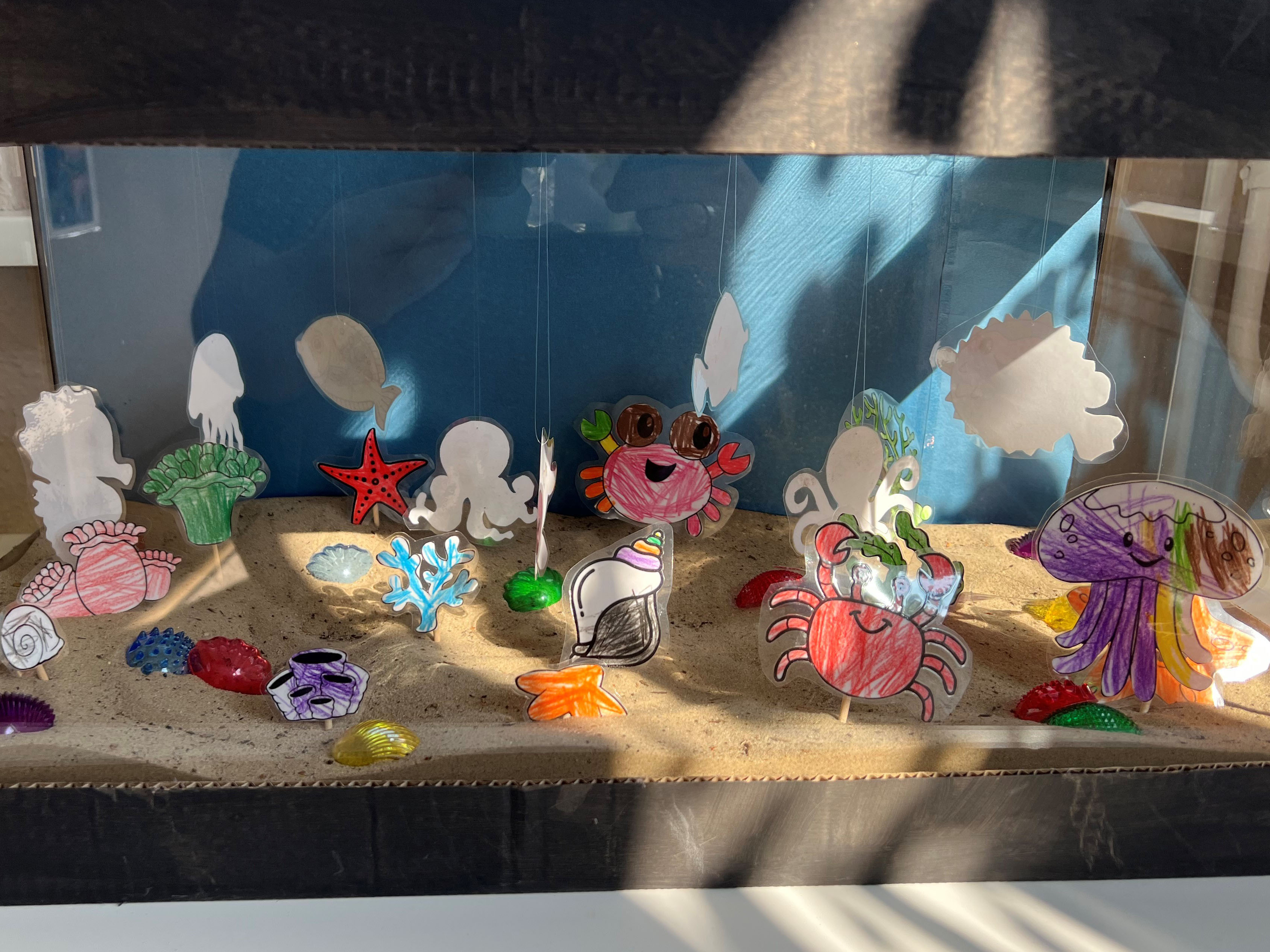 250910 Aquarium.jpg