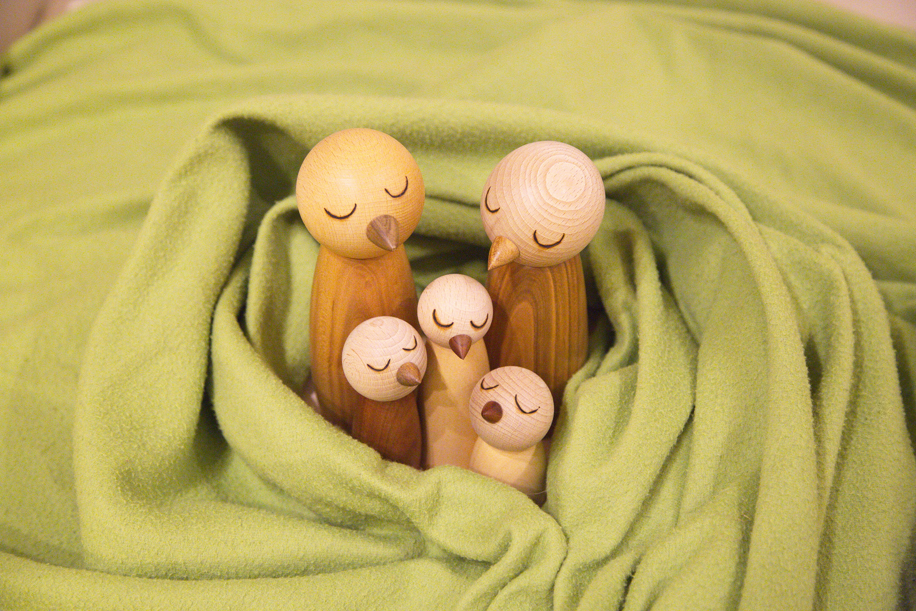 Familienprojekt_MG_4078.jpg Bild mit Vögeln im Nest
