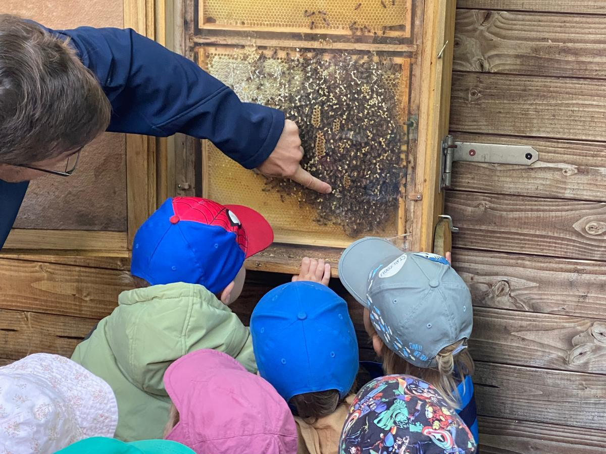 Bienen 2.jpg