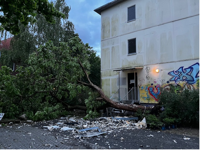 Umgestürzter Baum ASB.png