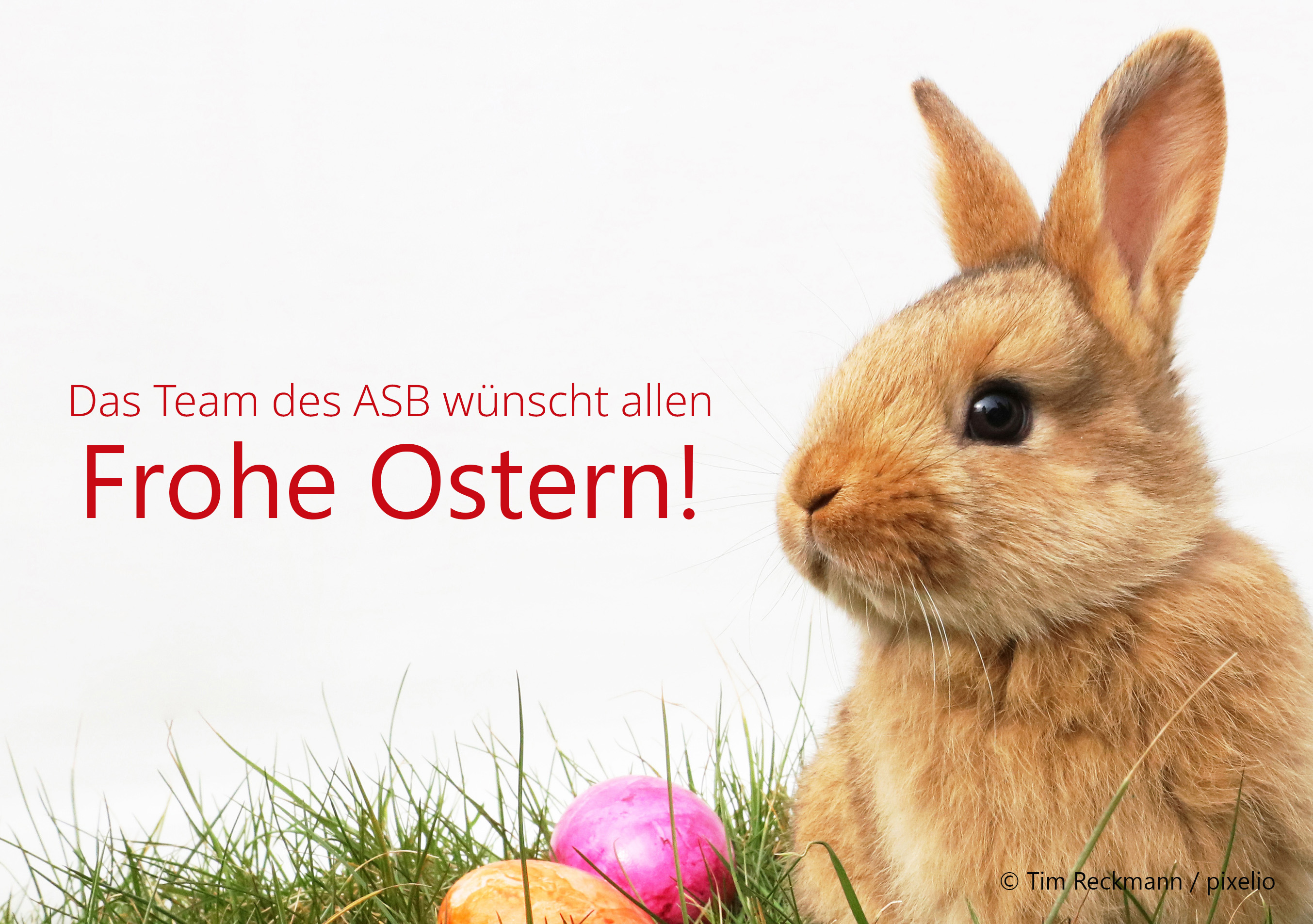 250410 Ostergrüße.jpg Ostergrüße