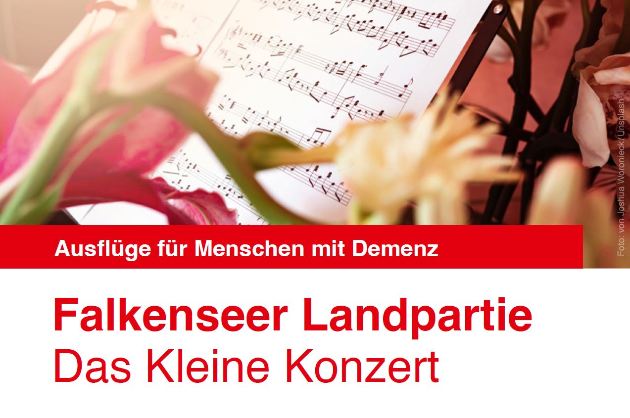 Bild das kleine Konzert.JPG