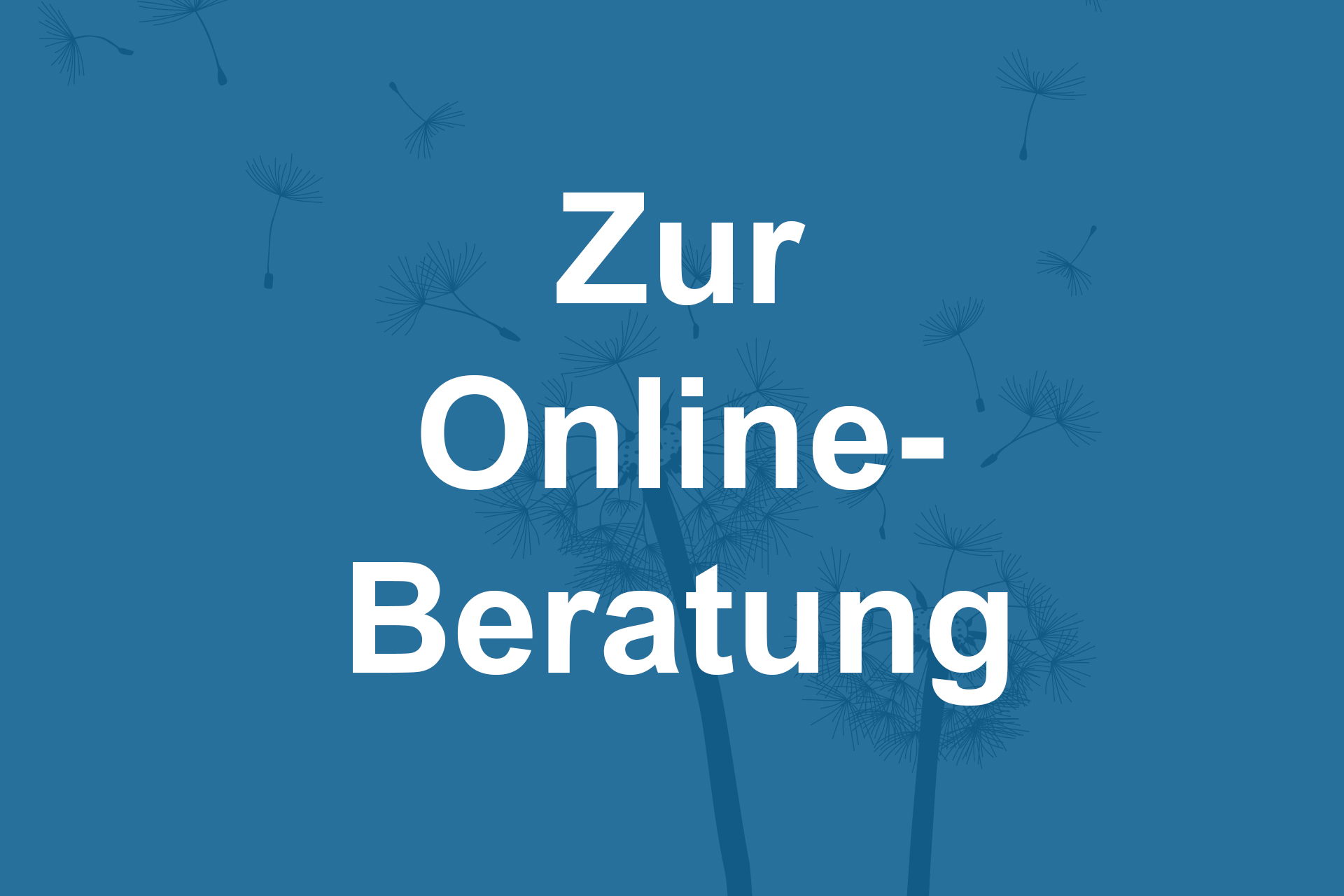 Button zur Online-Beratung kontrastreich.jpg