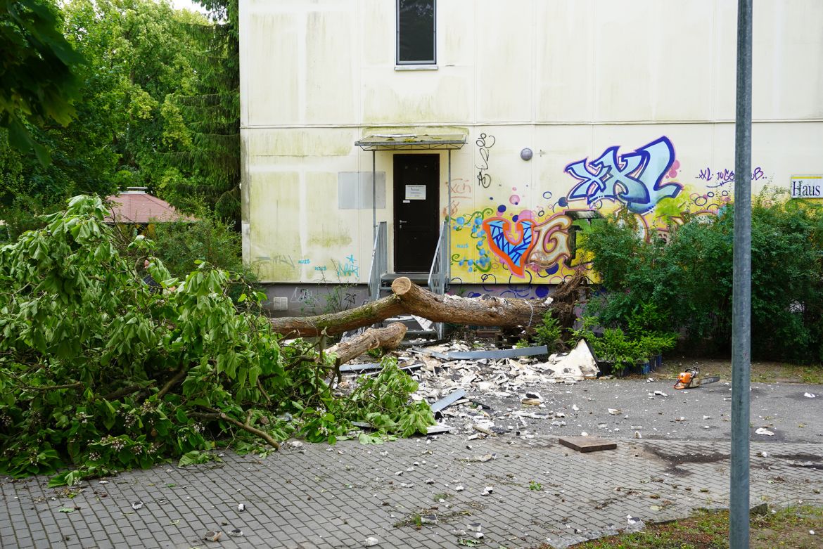 Sturmschaden_178.JPG