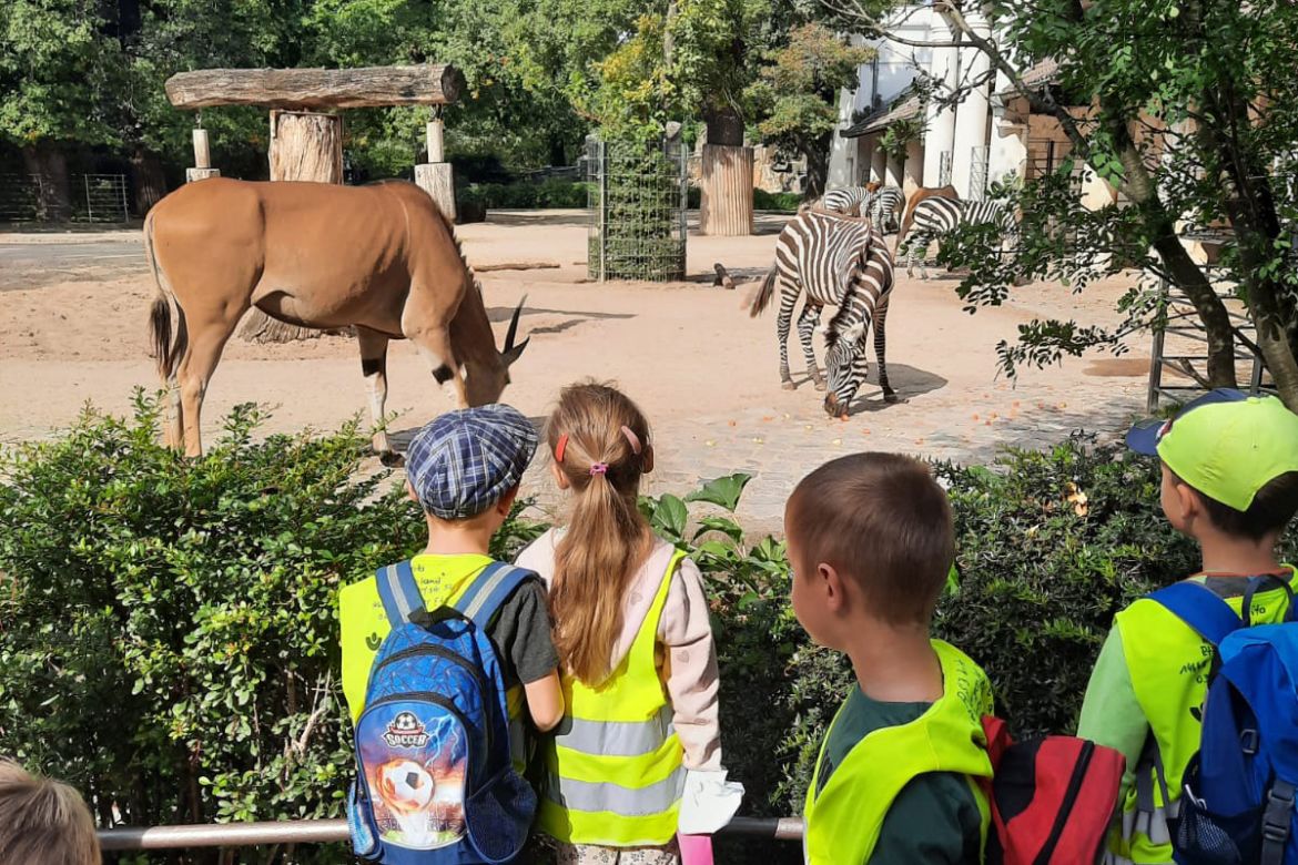 Ausflug_Zoo_11.jpg