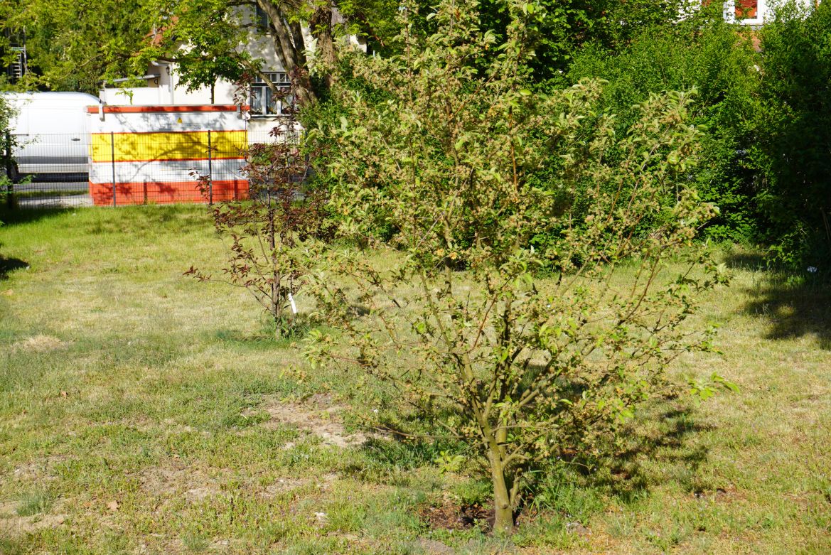 DSC01591.JPG