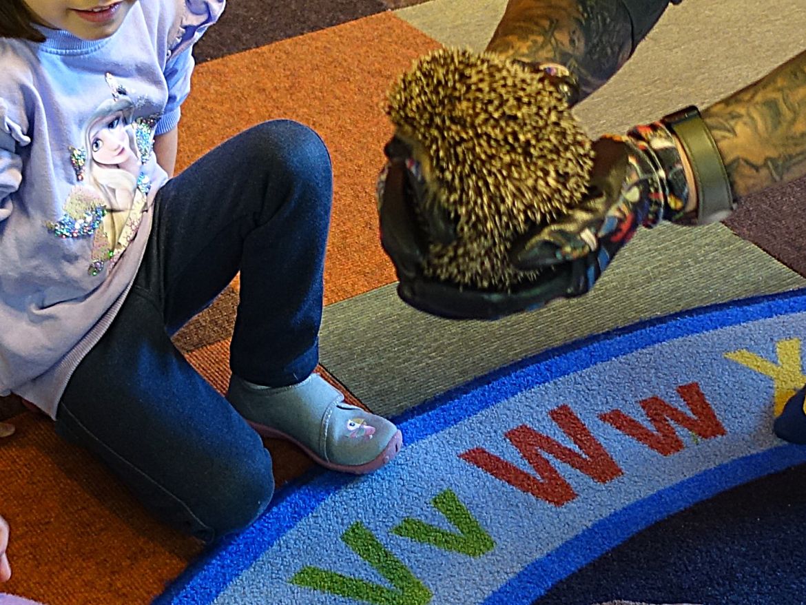 Igelbesuch_133.jpg